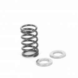 SPRING/WASHER KIT FOR IDLE...