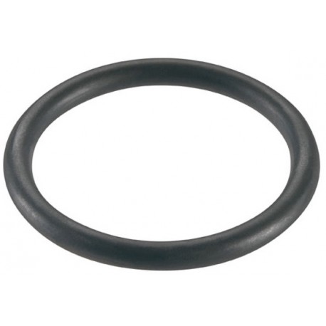 O'RING FOR VP FUEL JUG